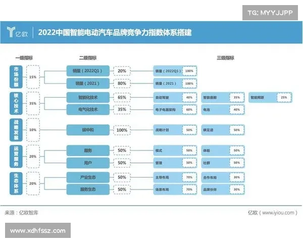 建业俱乐部企业性质与社会责任对中国足球产业格局的深远影响
