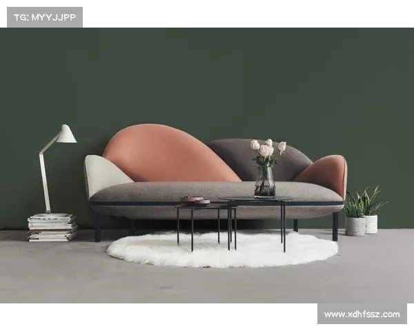 围绕法甲冠军标志五大设计要素的创新解析与视觉美学探讨全景呈现